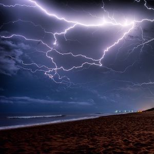 Meet your Posher, Phil